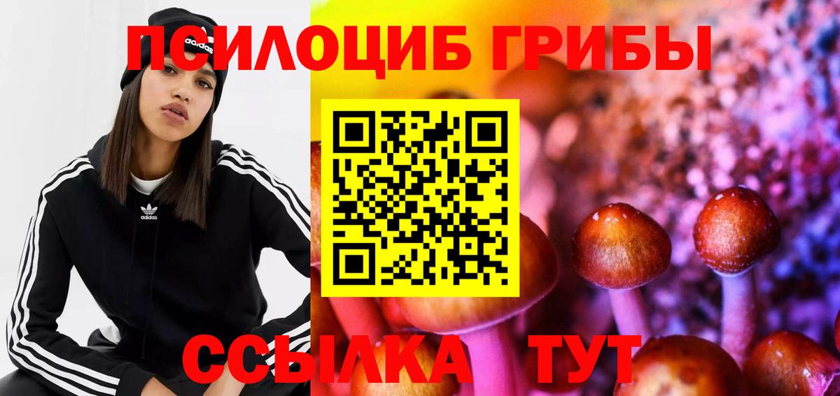 Галлюциногенные грибы GOLDEN TEACHER  Галлюциногенные грибы Psilocybe  Вход с VPN  Гагарин 